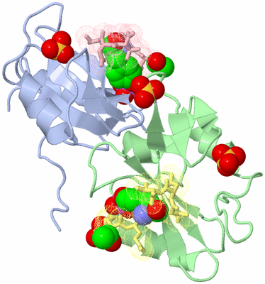 Image Biological Unit 3