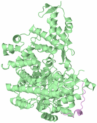 Image Biological Unit 2