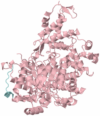 Image Biological Unit 3