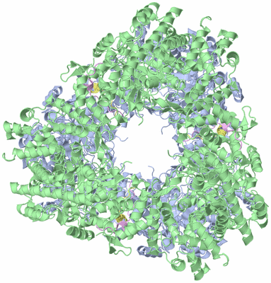 Image Biological Unit 4