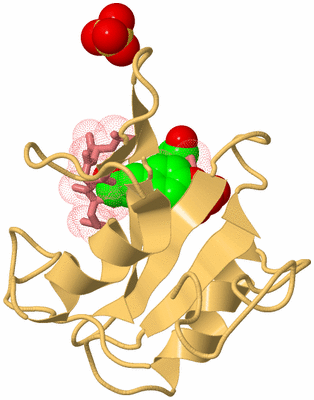 Image Biological Unit 4