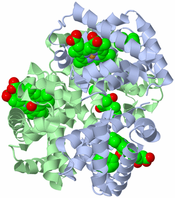 Image Biological Unit 1