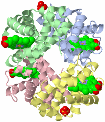 Image Asym./Biol. Unit