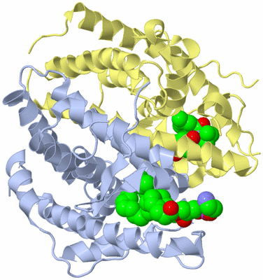 Image Biological Unit 1