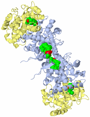 Image Biological Unit 2