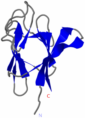 Image NMR Structure - model 1