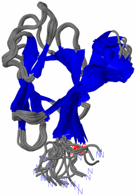 Image NMR Structure - all models