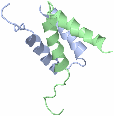 Image NMR Structure - model 1