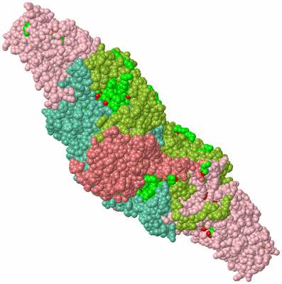 Image Biological Unit 2