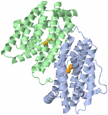 Image Asym./Biol. Unit