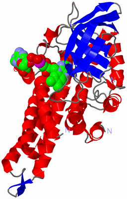 Image Asym./Biol. Unit