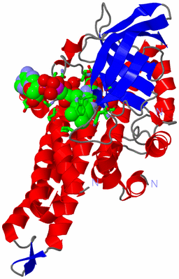 Image Asym./Biol. Unit - sites