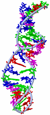 Image NMR Structure - model 1