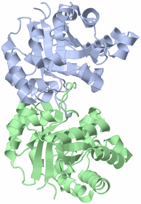 Image Biological Unit 1