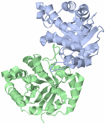 Image Asym./Biol. Unit