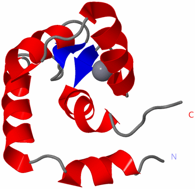 Image NMR Structure - model 1