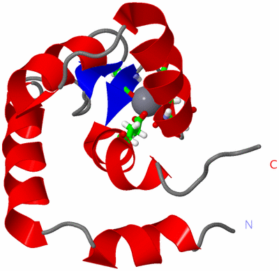 Image NMR Structure - model 1, sites