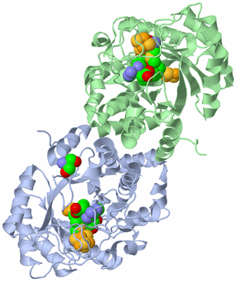 Image Asym./Biol. Unit