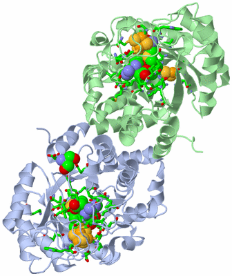 Image Asym./Biol. Unit - sites