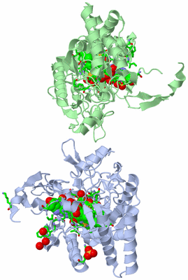 Image Biol. Unit 1 - sites