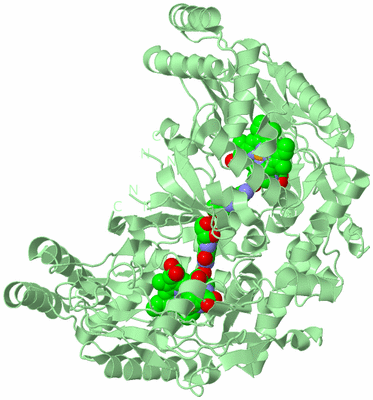 Image Biological Unit 3