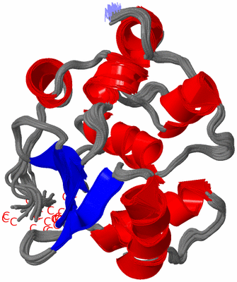 Image NMR Structure - all models