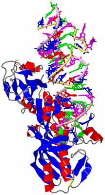 Image Asym./Biol. Unit