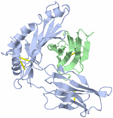 Image Biological Unit 1