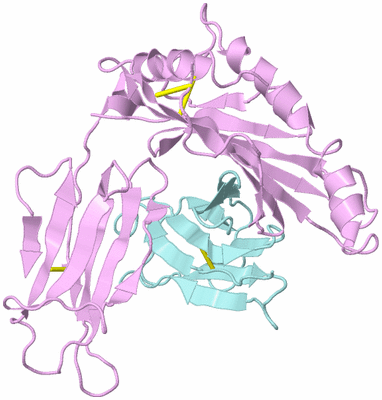 Image Biological Unit 3