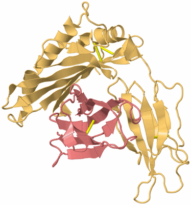 Image Biological Unit 4