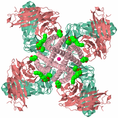 Image Biological Unit 1