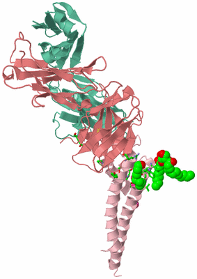 Image Asym. Unit - sites