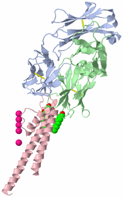 Image Asymmetric Unit