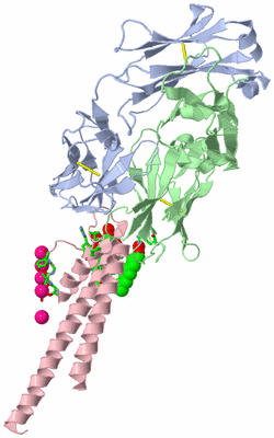 Image Asym. Unit - sites