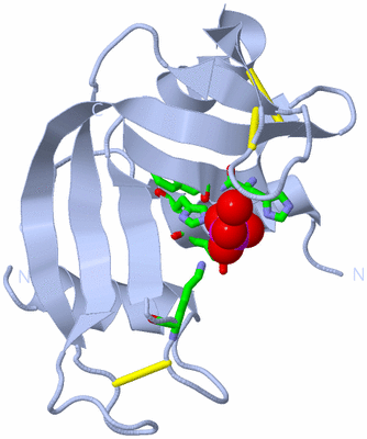 Image Biol. Unit 1 - sites