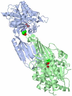 Image Biological Unit 1