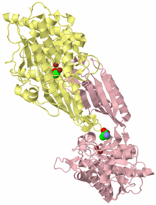 Image Biological Unit 2