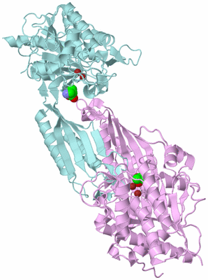 Image Biological Unit 3