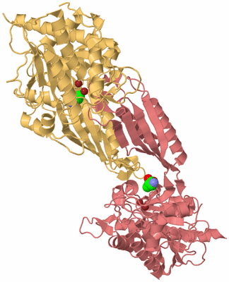 Image Biological Unit 4