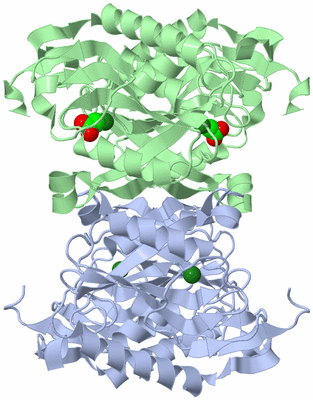 Image Biological Unit 1