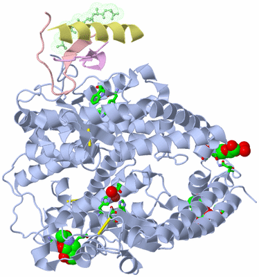 Image Asym./Biol. Unit - sites