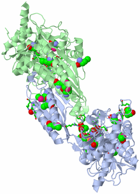 Image Asym./Biol. Unit - sites