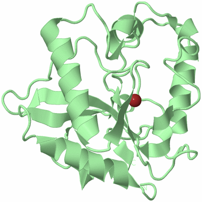 Image Biological Unit 2