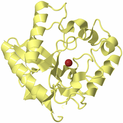 Image Biological Unit 4