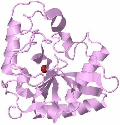 Image Biological Unit 5