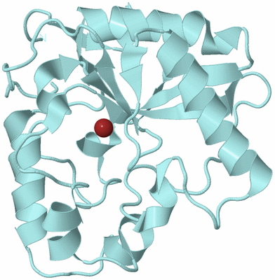 Image Biological Unit 6