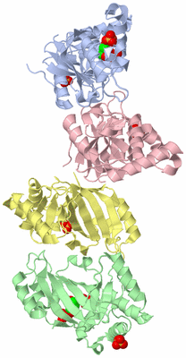 Image Asymmetric Unit