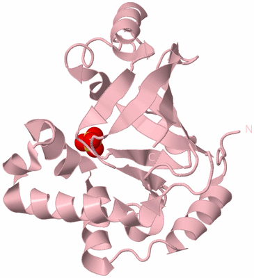 Image Biological Unit 3