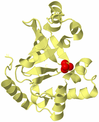 Image Biological Unit 4
