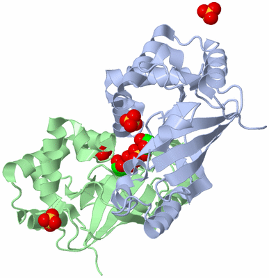 Image Biological Unit 5
